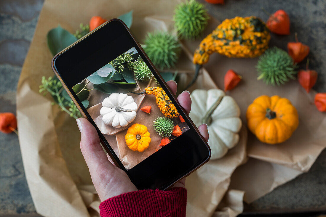 Herbstliche Dekoration, Zierkürbisse, Frau beim Fotografieren mit Smartphone
