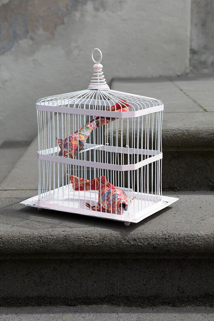 Origami cois in cage