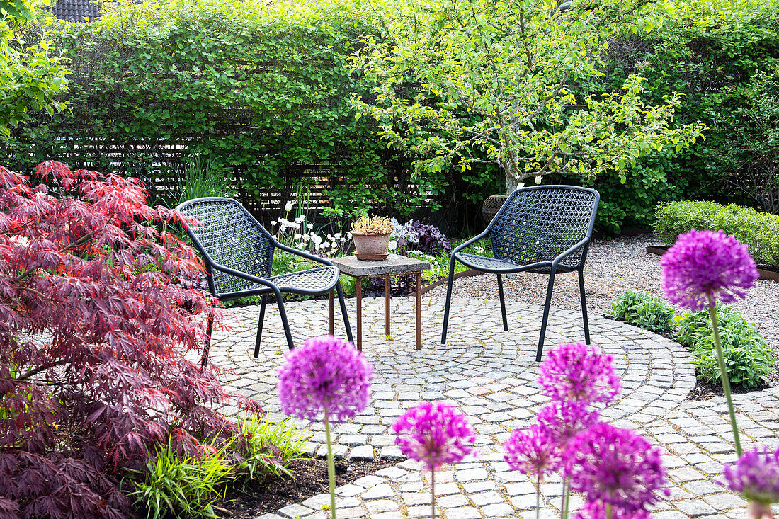 Runder Sitzplatz mit Pflastersteinen, im Vordergrund roter Ahorn und Zierlauch im Garten