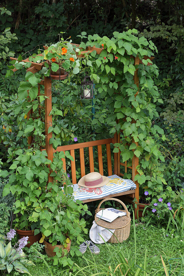 DIY-Gartenlaube mit Streben für Kletterpflanzen