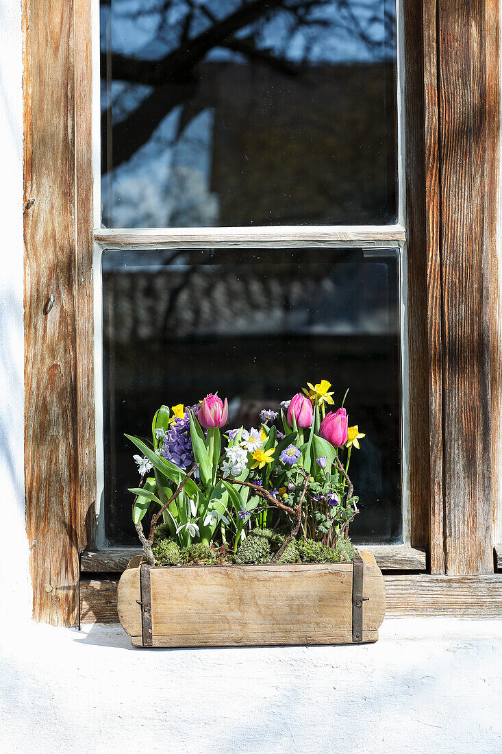 Spring flowers in wooden box on windowsill