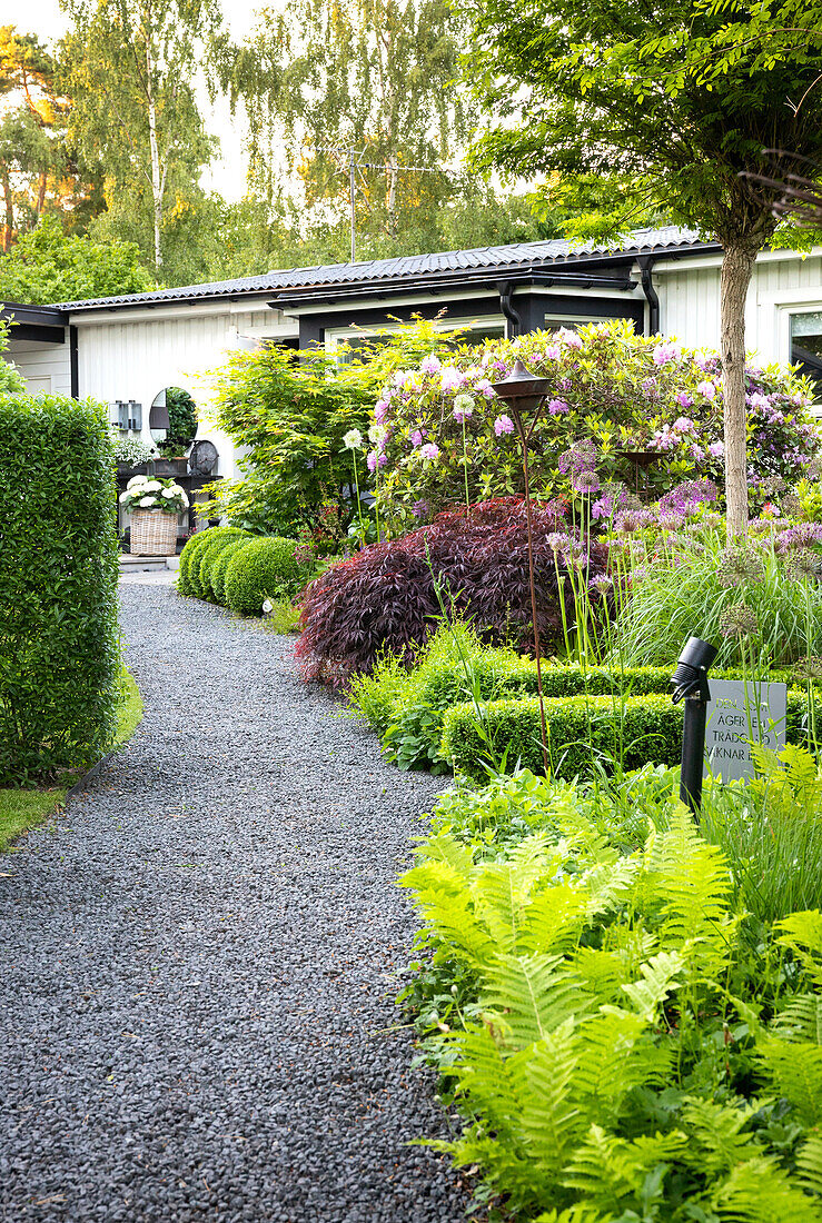Gently curving gravel path, lined with generous plantings of trees, shrubs and perennials