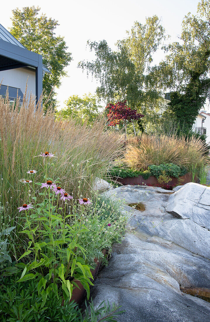 Grass and coneflowers in a garden bed between the rocks