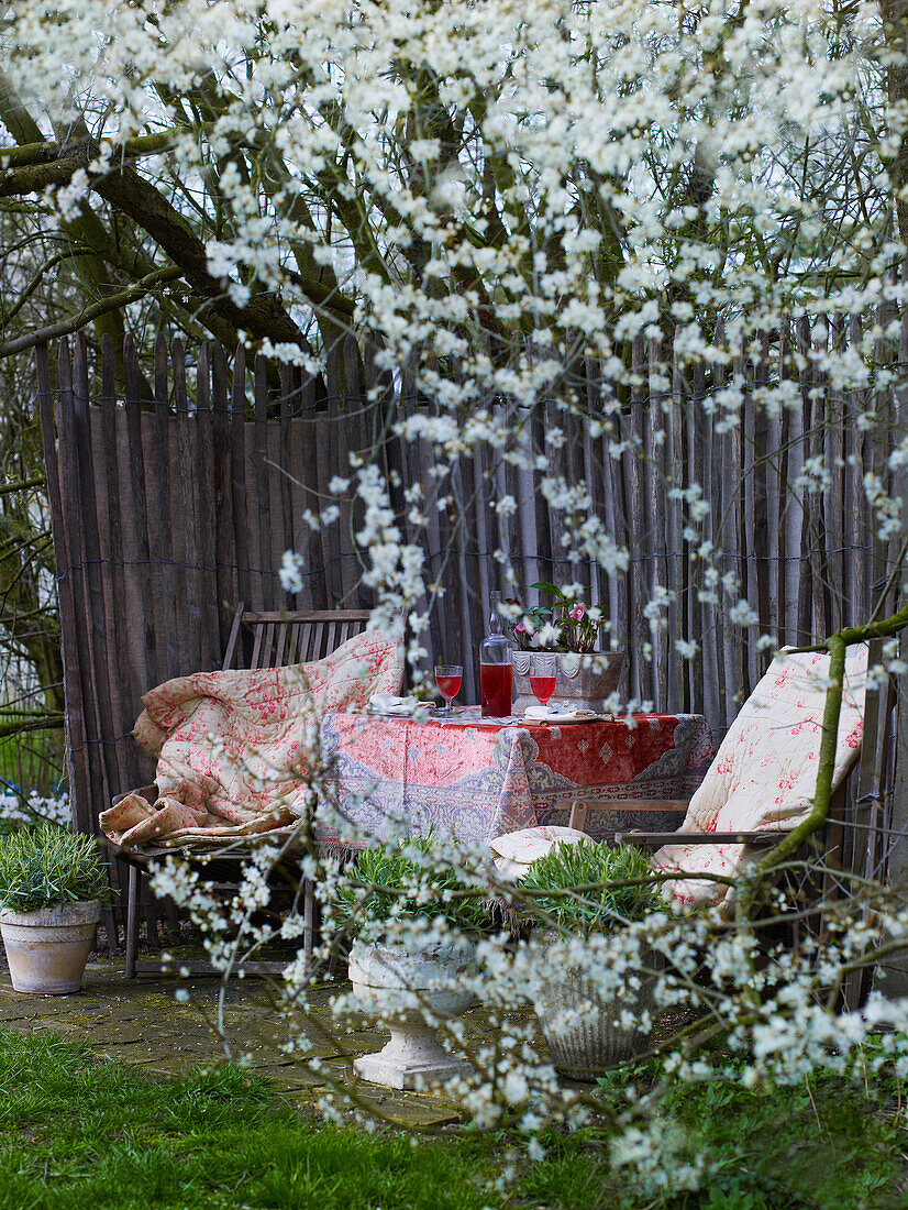 Old chairs and table under flowering tree in a garden