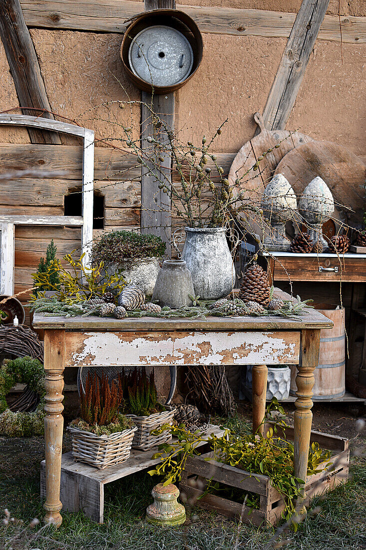 Stone pots, pine cones, larch branches, heather and mistletoe on wooden table
