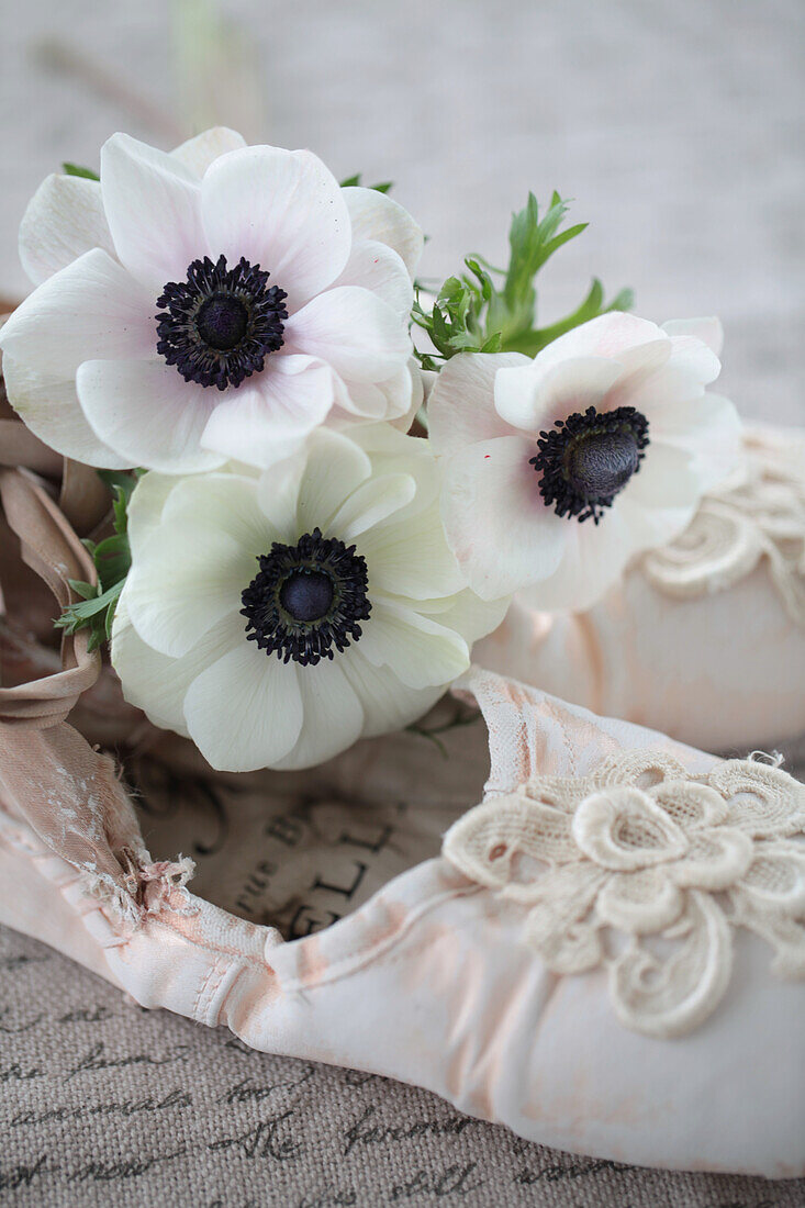 White anemones with ballet shoes