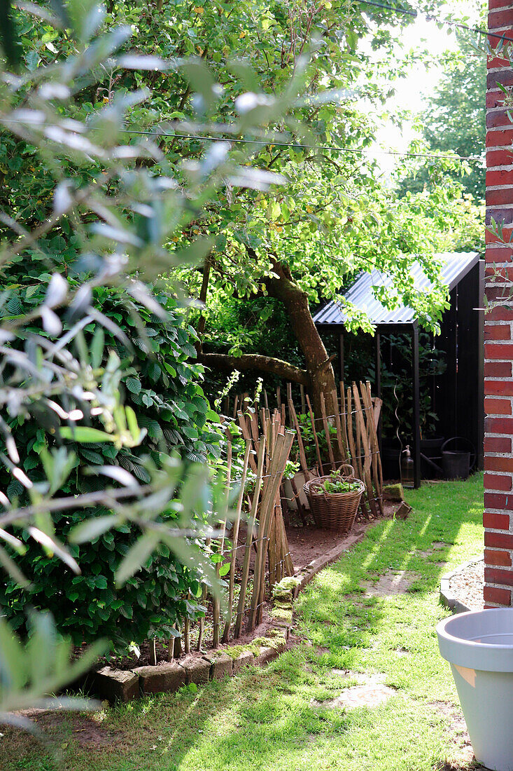 View of a well-tended garden with wooden fence and greenhouse in the background