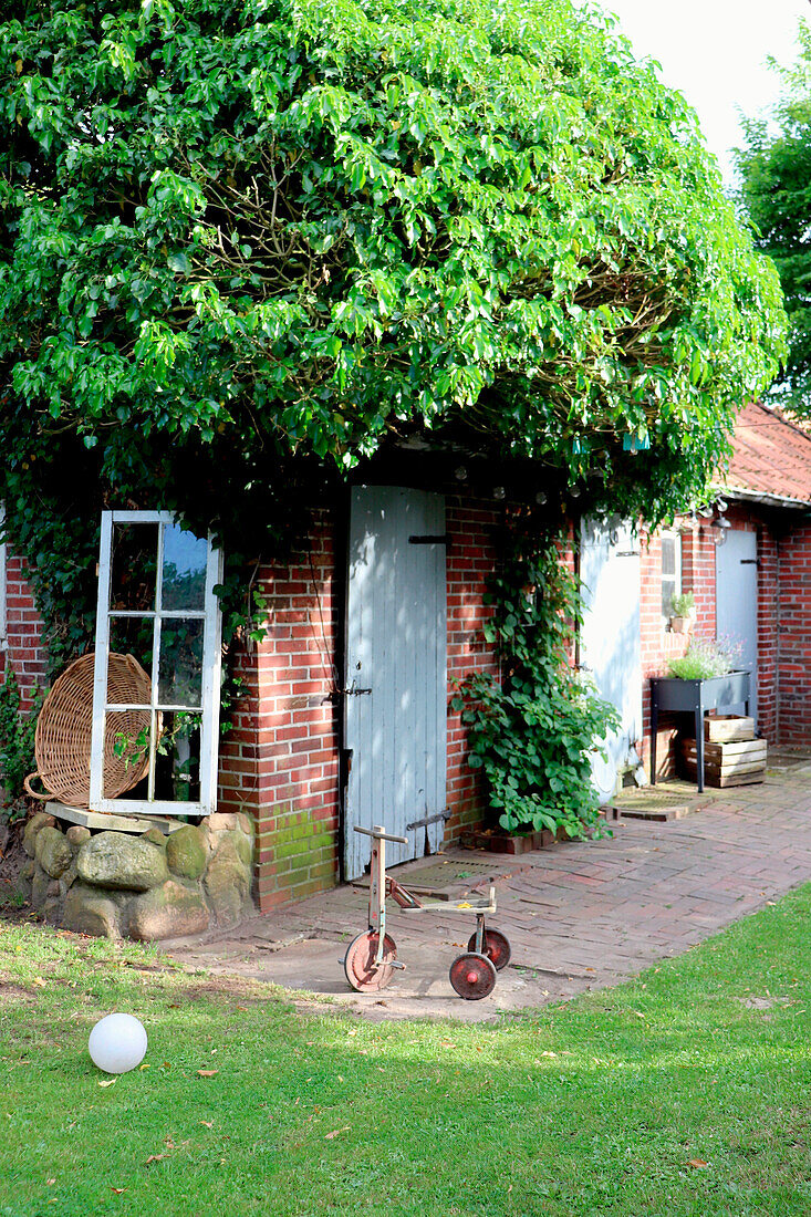 Brick house with antique entrance door and climbing plants