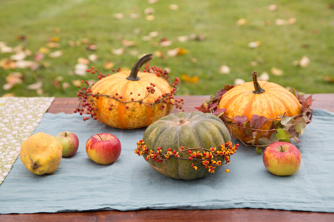 Herbstliche Tischdekoration mit Kürbissen und Äpfeln im Garten