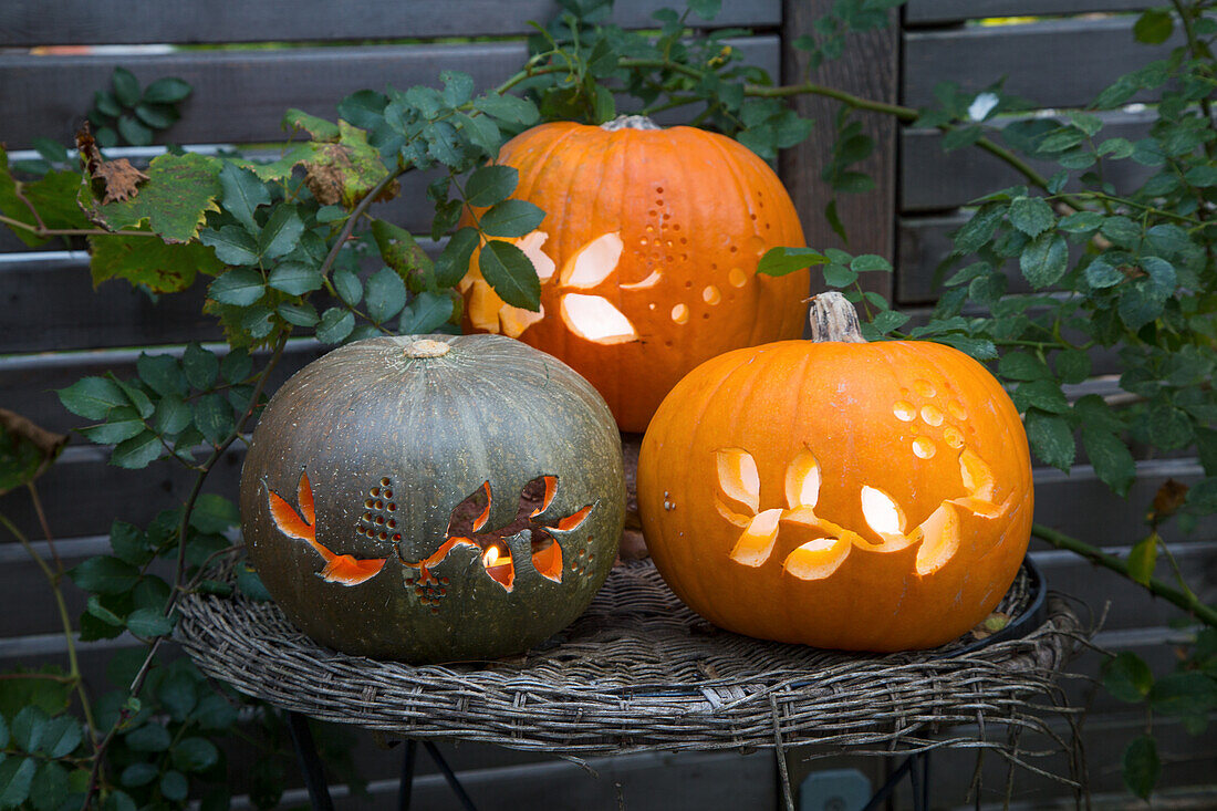 Three carved pumpkins with lights on a rattan table in front of a wooden fence