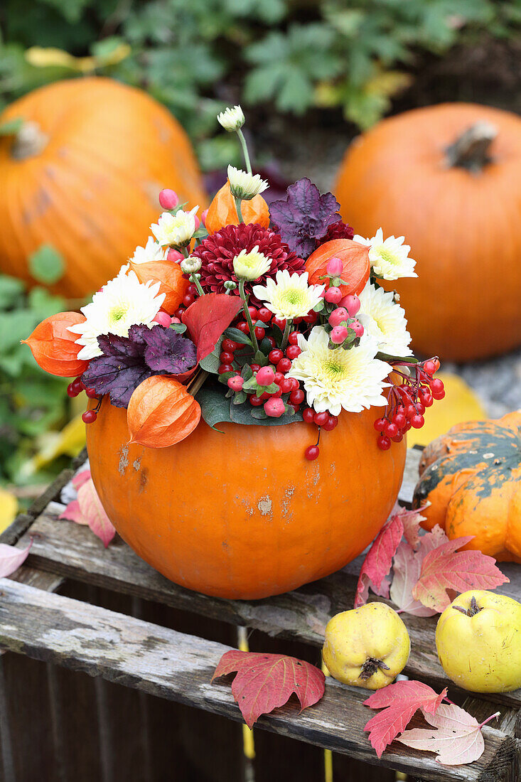 Autumn arrangement of physalis, chrysanthemums, viburnum berries and rose hips in a hollowed-out pumpkin