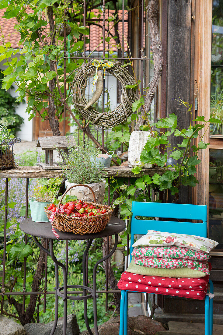 Stuhl mit Kissen, daneben Korb mit frisch geernteten Erdbeeren auf Gartentisch
