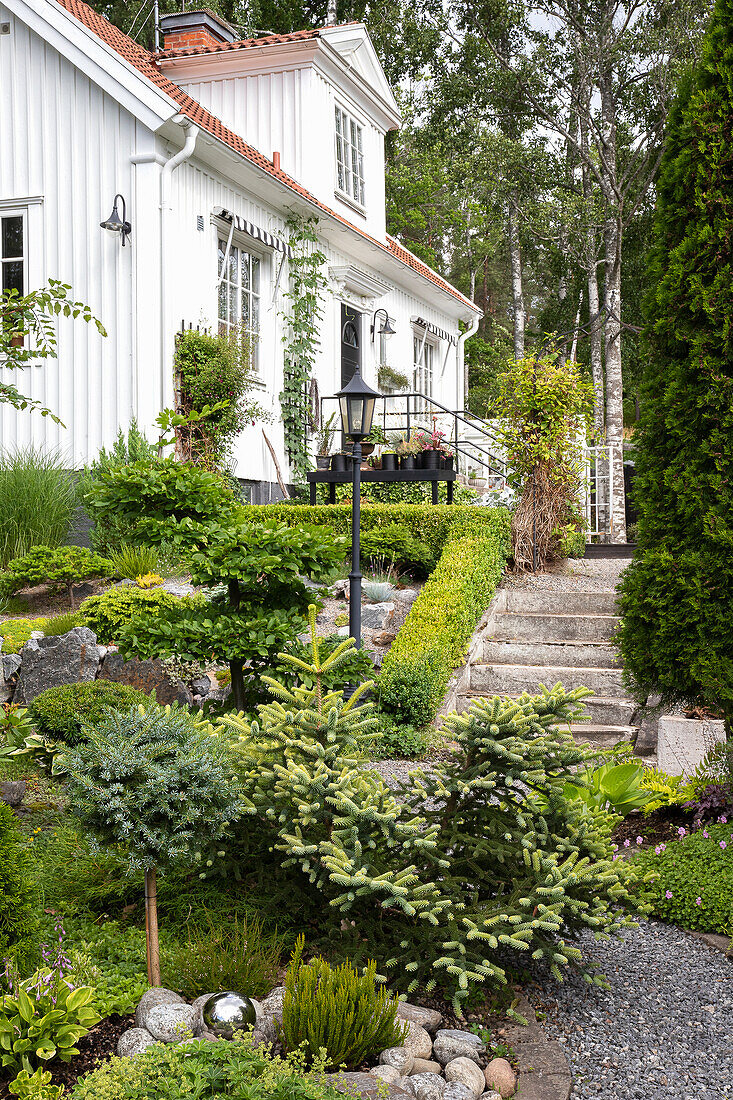 Well-tended front garden with stone steps and a variety of plants in front of a white house