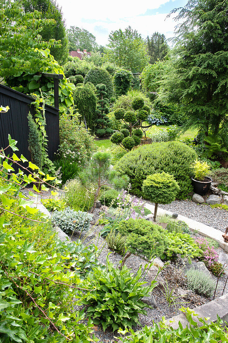 Well-kept ornamental garden with a variety of plants and gravel bed