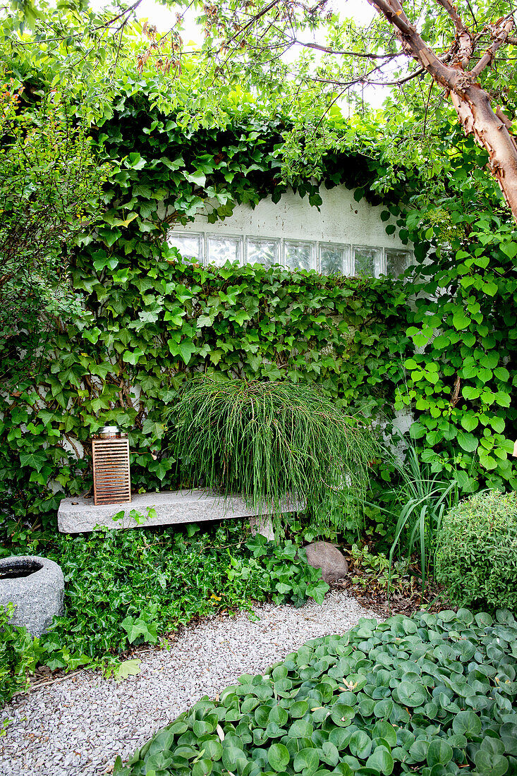 Hidden seating area surrounded by climbing plants in garden