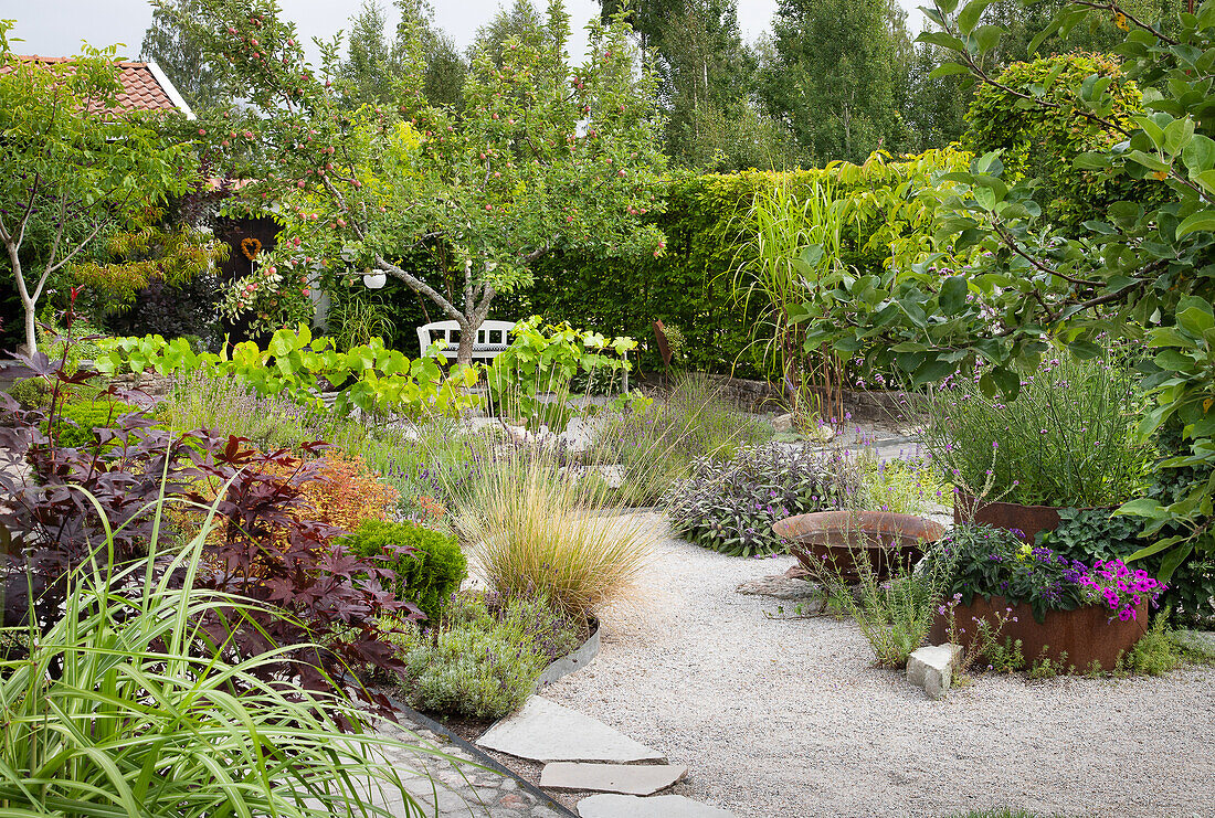 Diversely planted garden with gravel path and bench