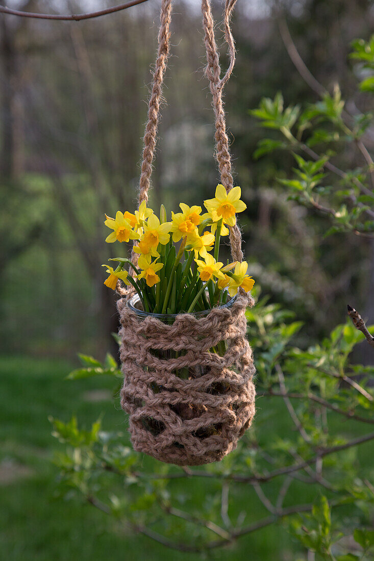 hanging basket in spring garden