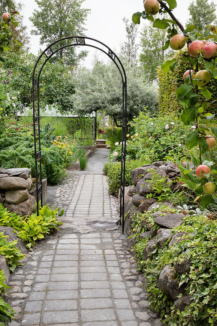 Gepflasterter Gartenweg mit Rosenbogen und umgebenden Beeten