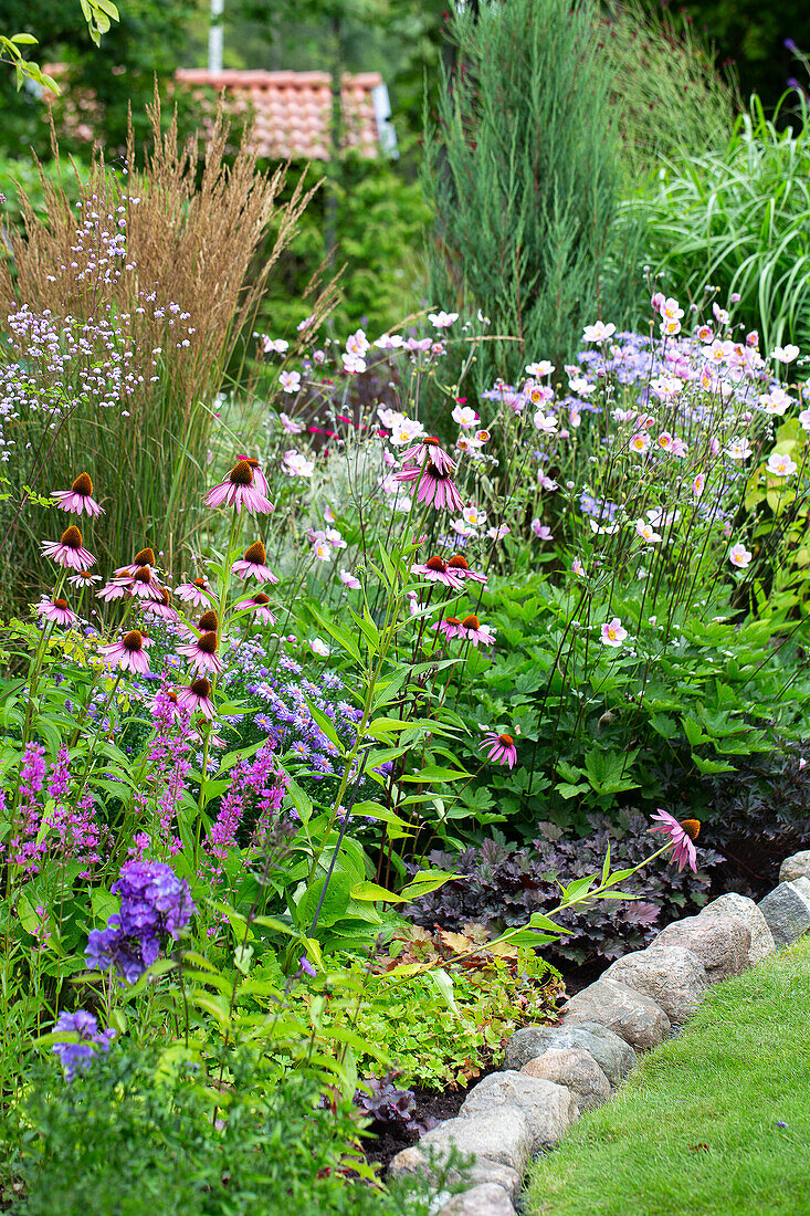 Vielfältig bepflanztes Staudenbeet mit Sonnenhut (Echinacea) und Anemonen