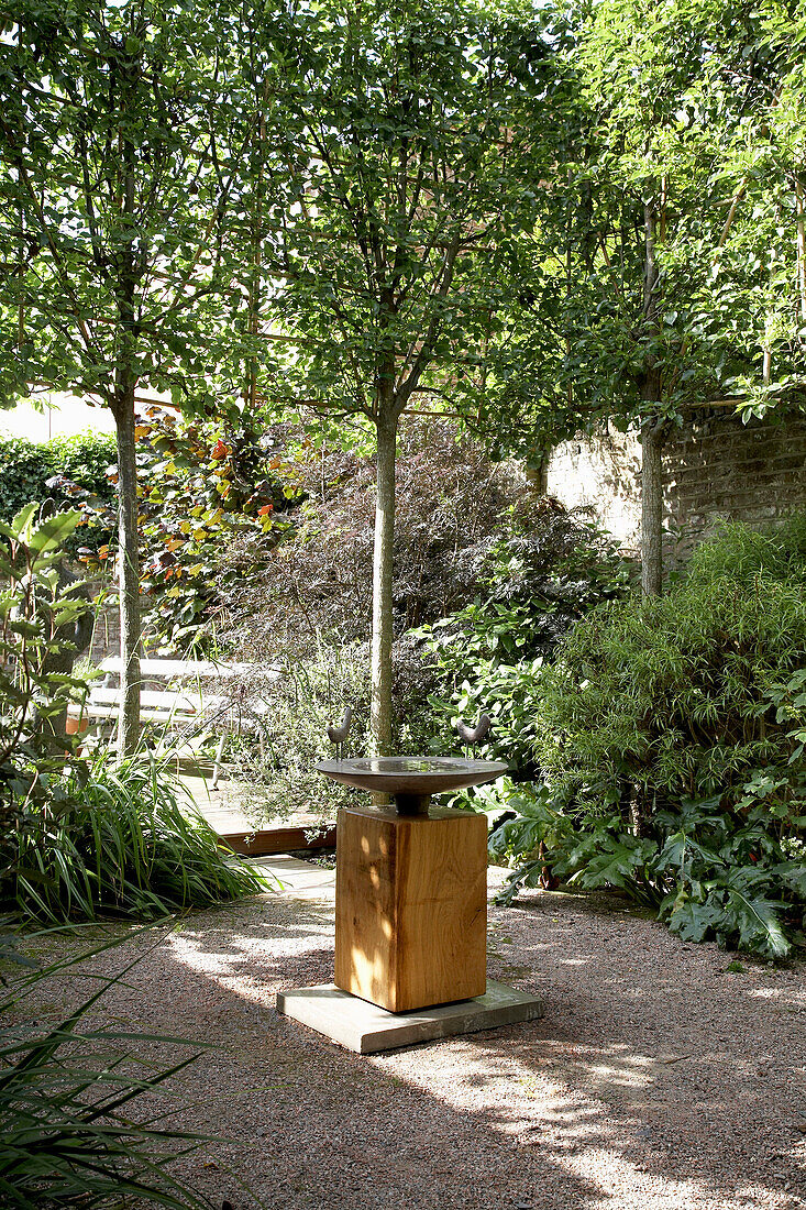 Courtyard garden with bird bath below trees in Rye, Sussex