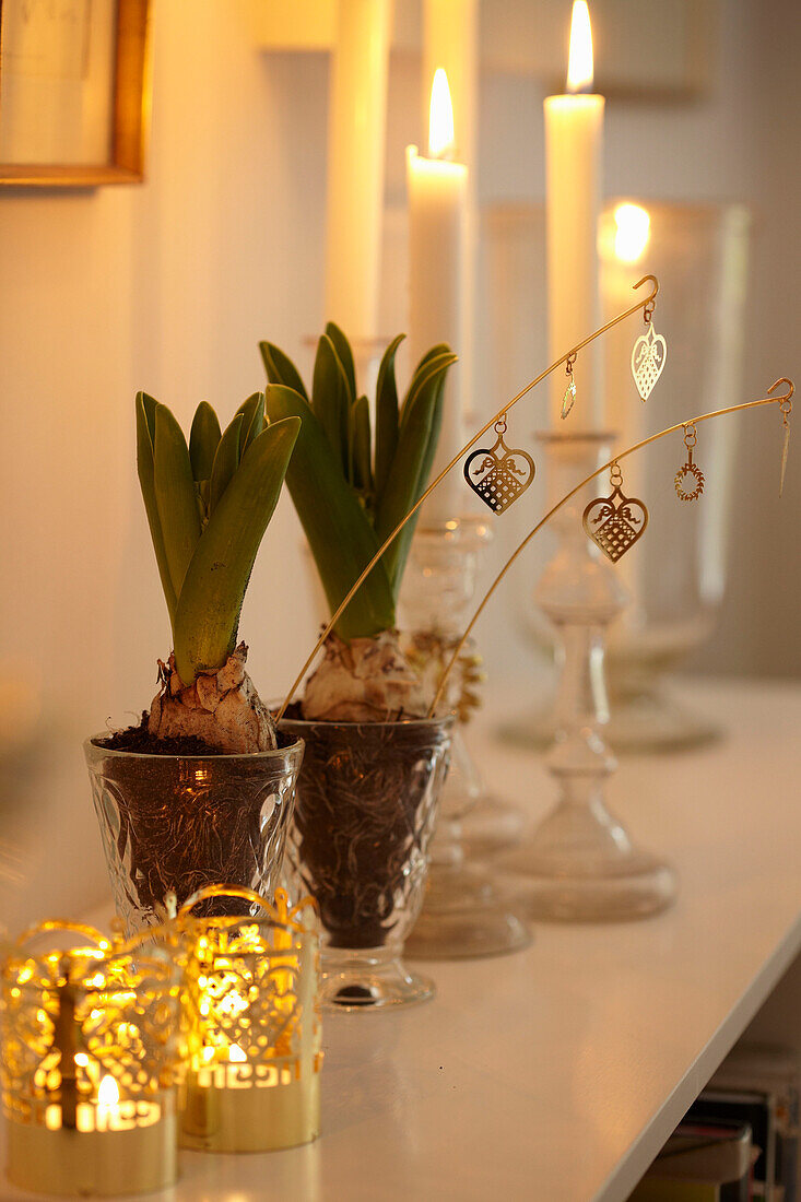Lit candle and crocuses on shelf Copenhagen