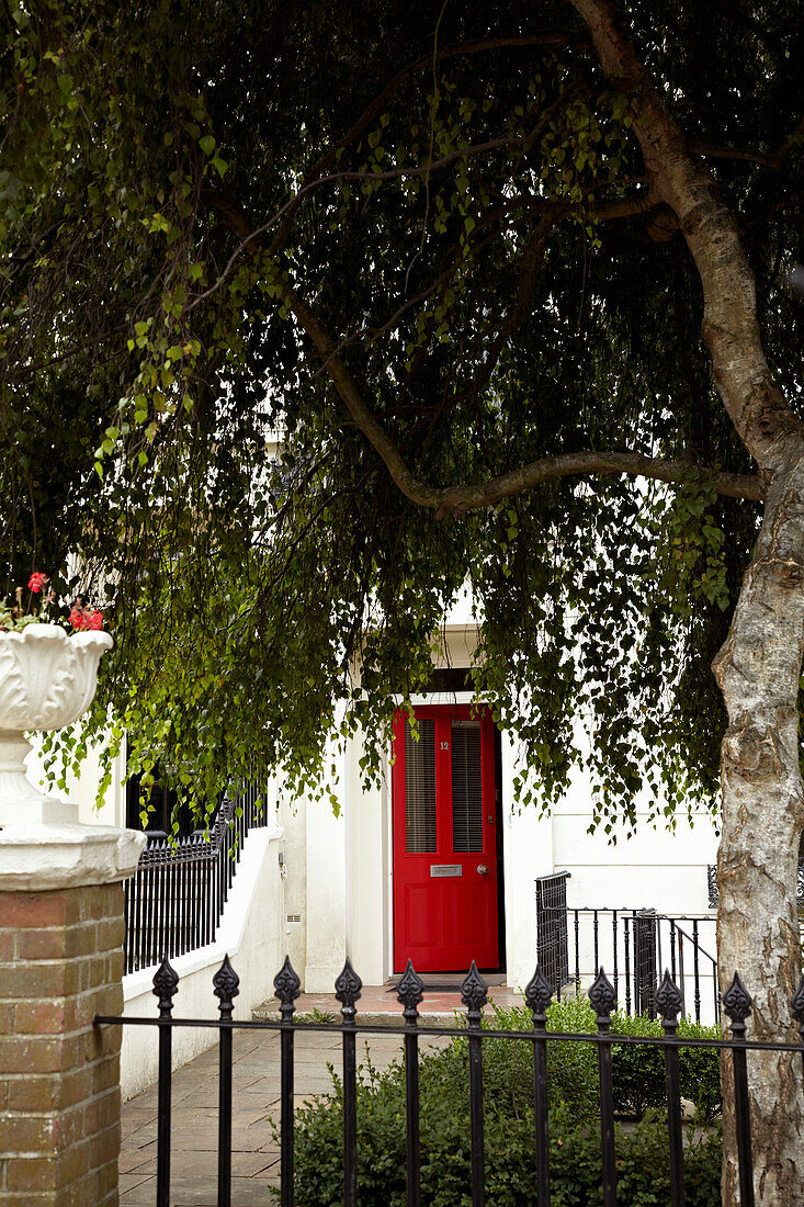 Red front door with tree in front garden Brighton townhouse, Sussex, England, UK