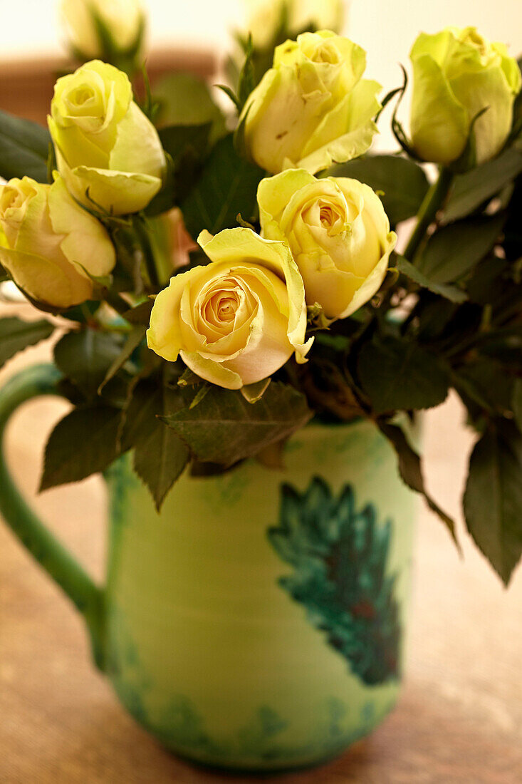 Cut yellow roses in a vintage cup Brighton Sussex, England, UK