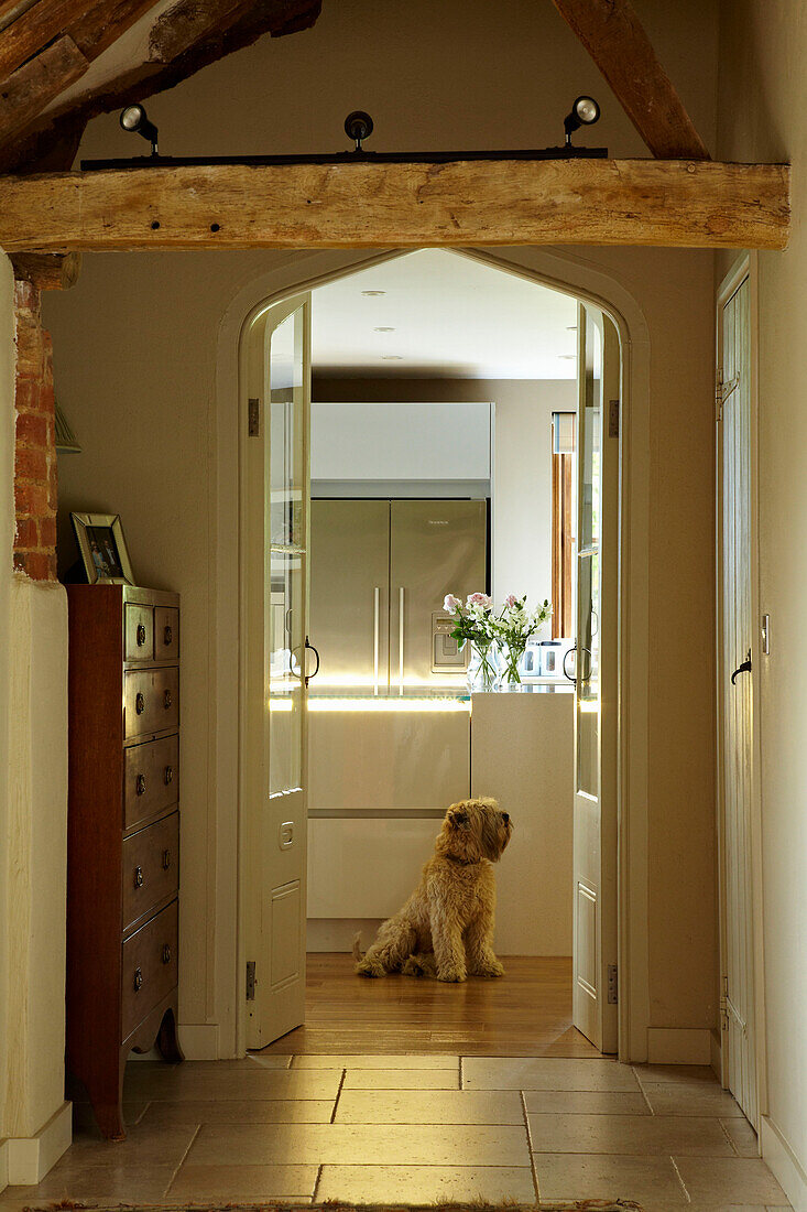 Hund sitzt in der Küche mit Blick durch die Flügeltüren eines Hauses in West Sussex, England, UK