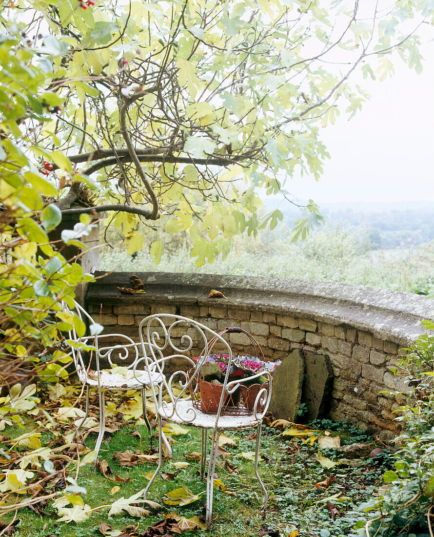 Zwei schmiedeeiserne Stühle unter einem Baum mit Herbstblättern auf dem Rasen