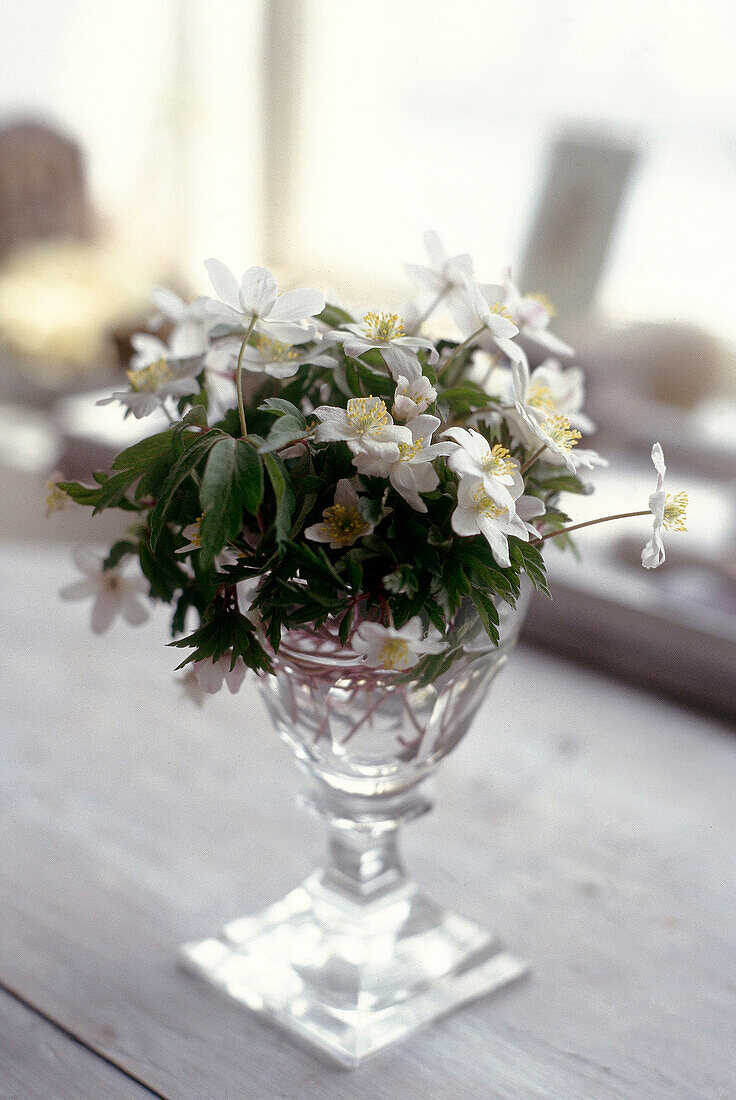 Detail of white flowers in glass vase