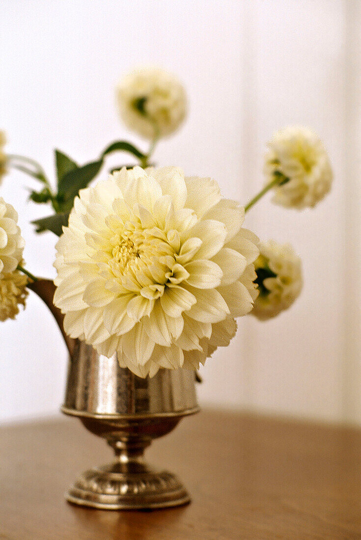 Yellow dahlia silver vase interiors detail flowers arrangements