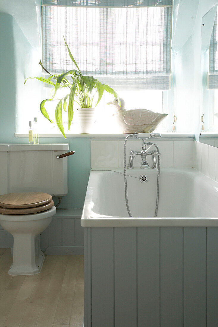 Ein traditionelles Badezimmer im Landhausstil mit blauer Badewanne und Holzvertäfelung mit Nut und Feder, Toilette mit niedrigem Spülkasten und Verdunkelungsrollo an der Fensterpflanze