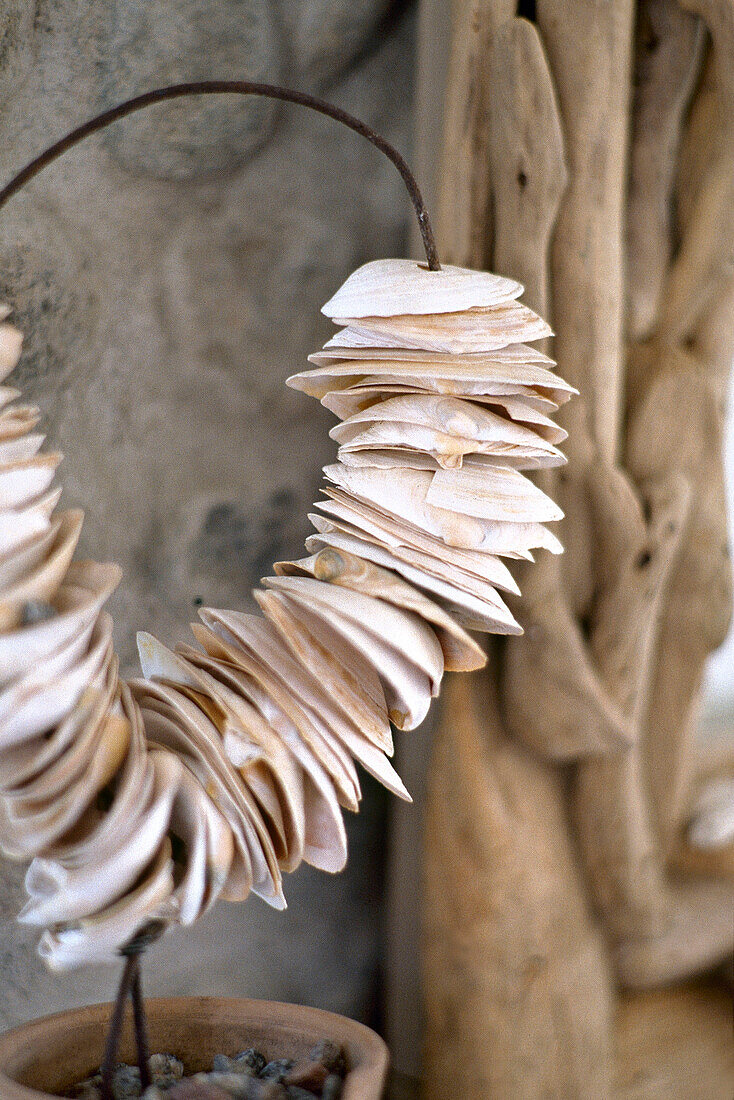 Shell sculpture