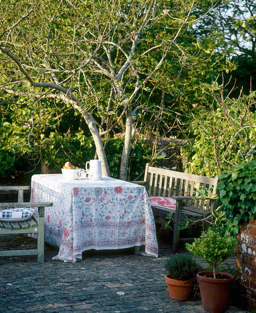 A garden with patio area table with cloth wooden bench seats set in the shade of tree plants in pots