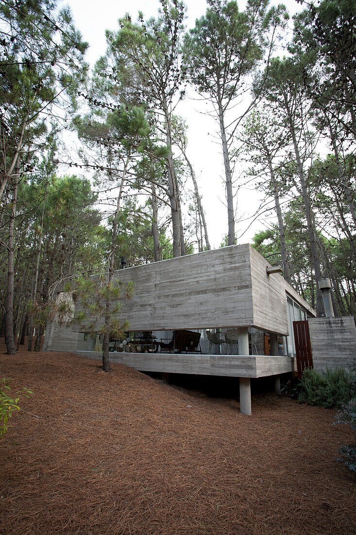 Modernes Betonhaus in einem Waldgebiet in Argentinien