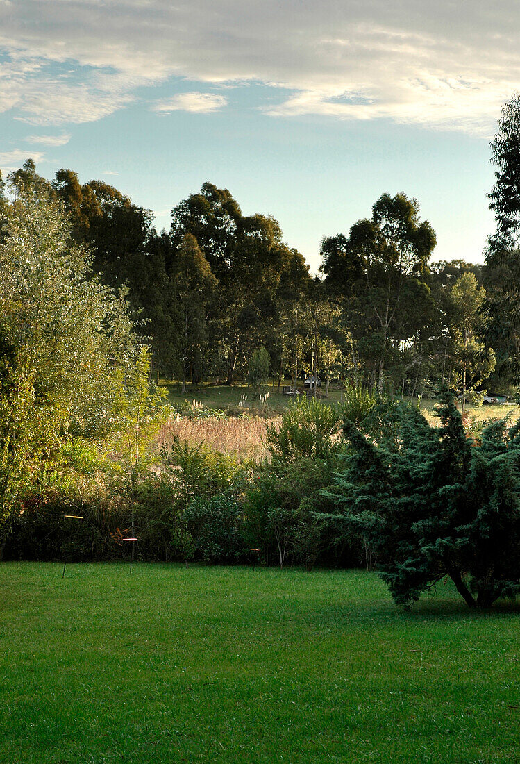 Rasen und Waldlandschaft