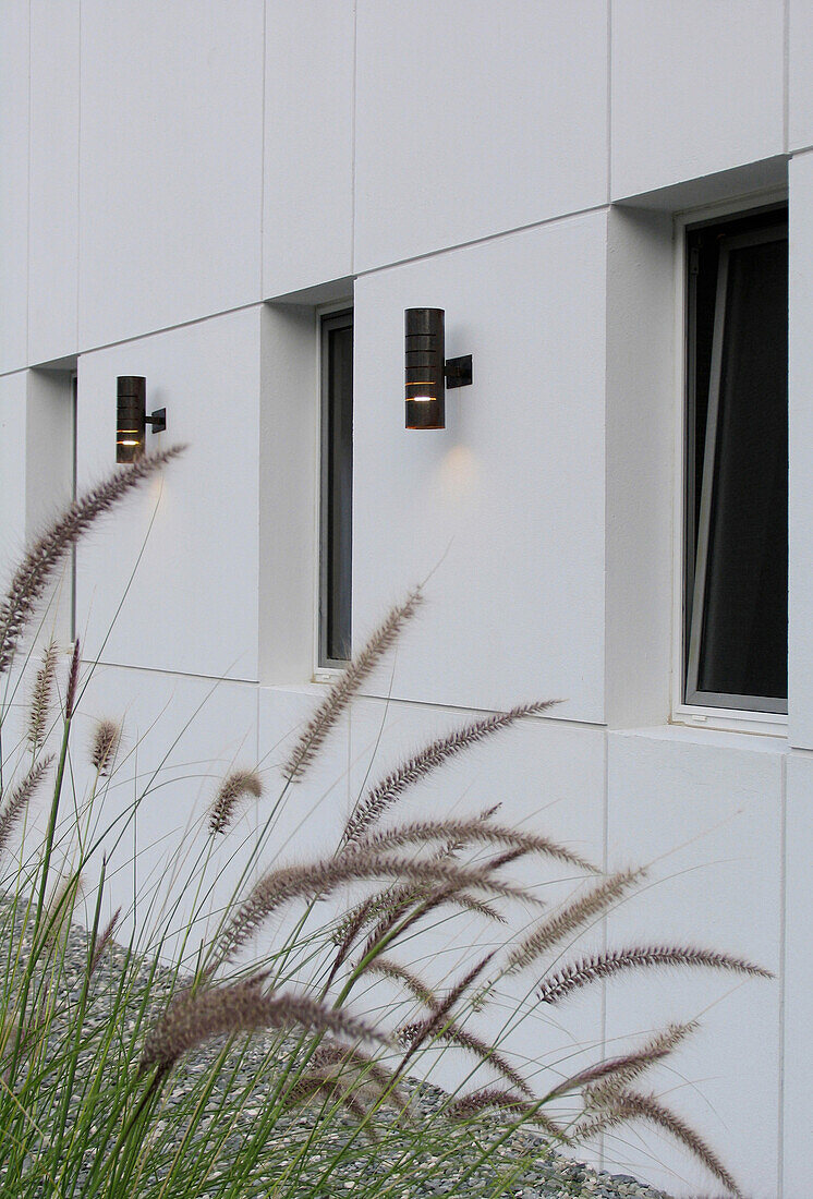 Moderne weiße Hausfassade mit Fenstern, Außenlampen und Gräser-Bepflanzung