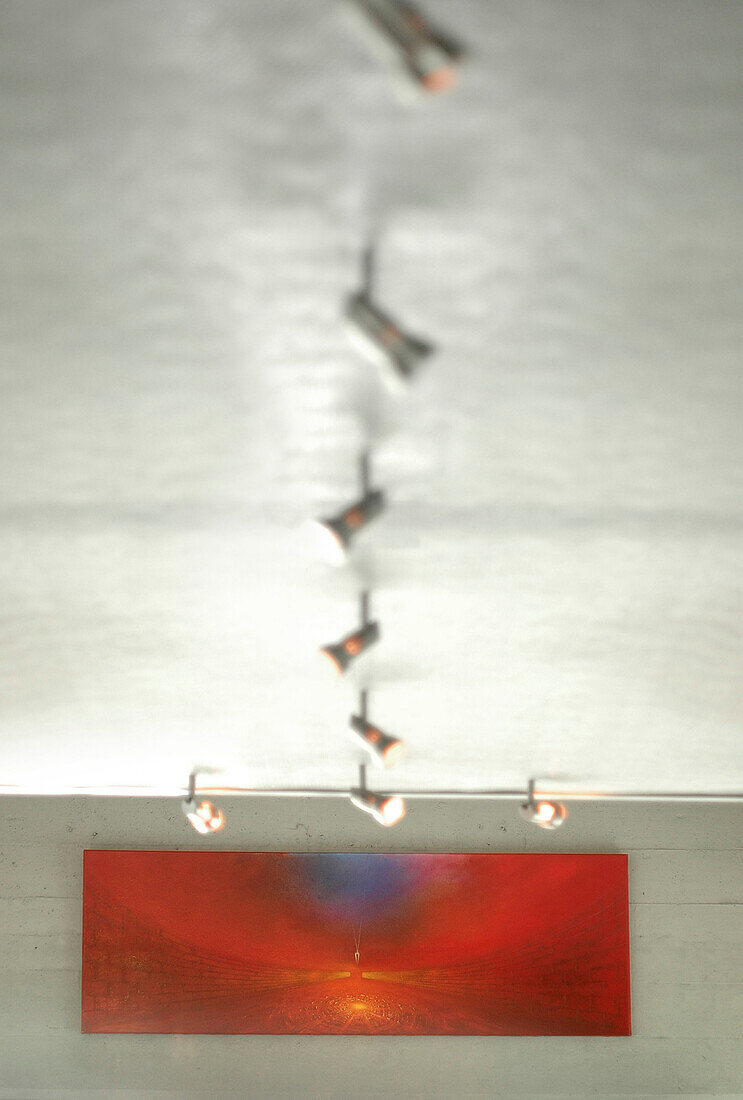 Ceiling mounted spotlights and modern art