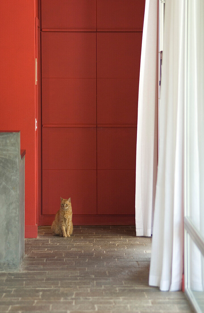 Tabby-Katze sitzt auf freiliegendem Steinboden vor einem versteckten Lagerraum im Wohnzimmer