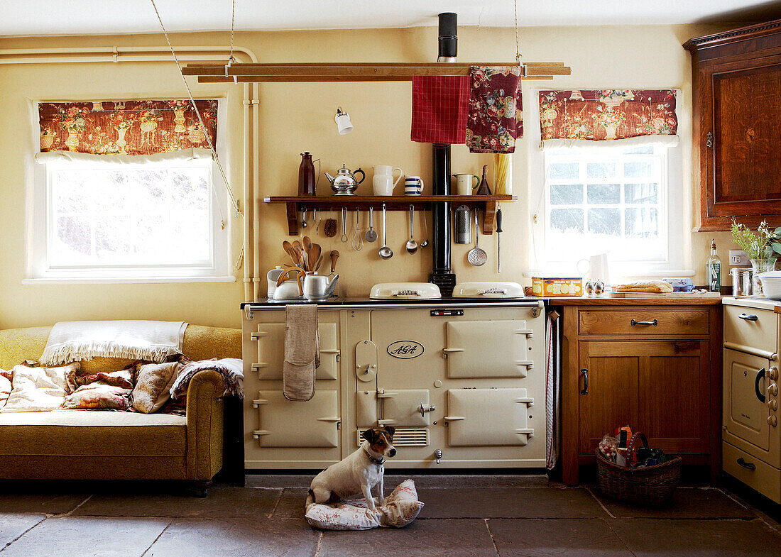 Kleiner Hund auf Kachelboden mit Aga in Landhausküche