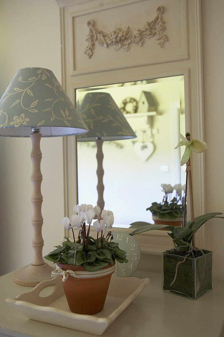Geblümter Lampenschirm und Zimmerpflanze im Spiegel