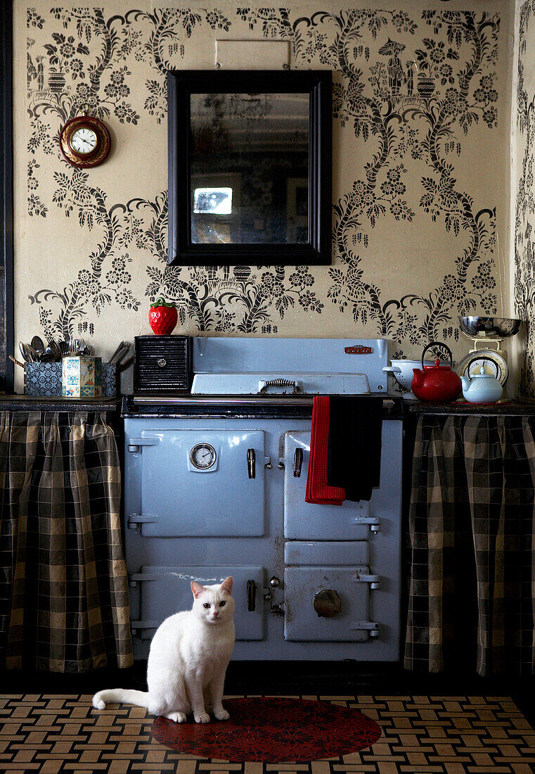 White cat sits in front of light blue oven in Georgian farmhouse
