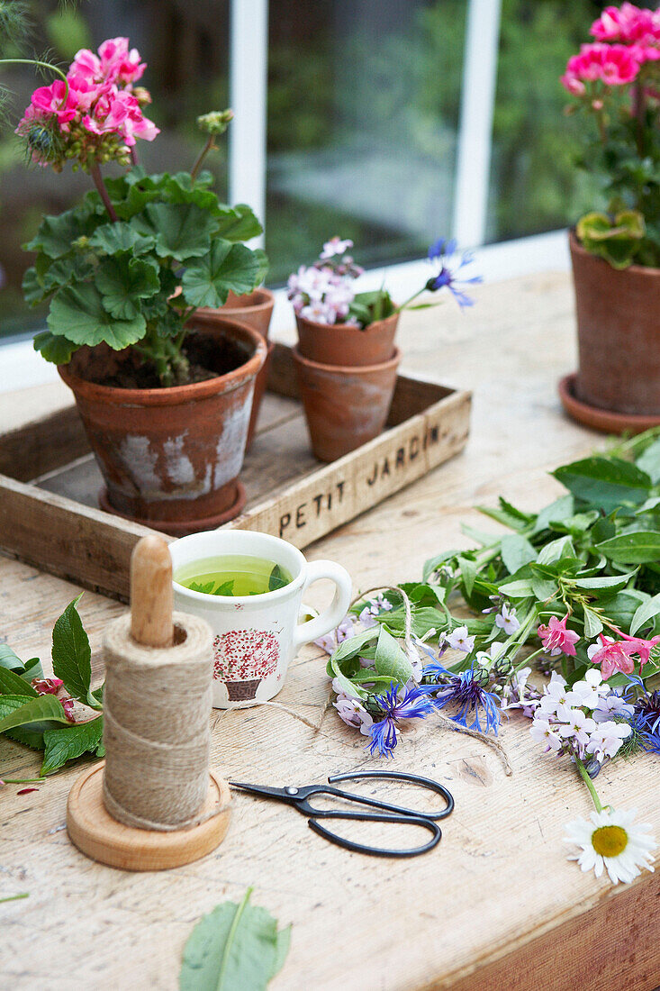 Schnur und Schere mit Schnittblumen und Topfpflanzen auf einer Gartenbaukiste