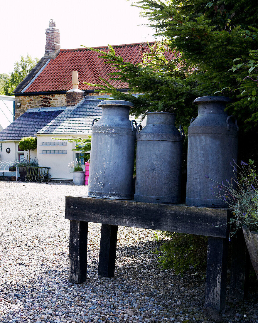 Milk urns on bench in gravel driveway of Yorkshire farm