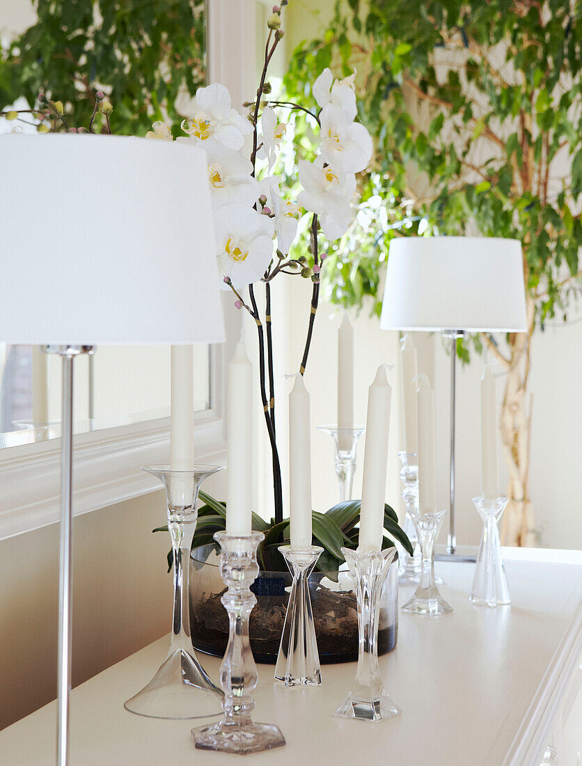 Matching white lamps and glass candlesticks on sideboard with ficus