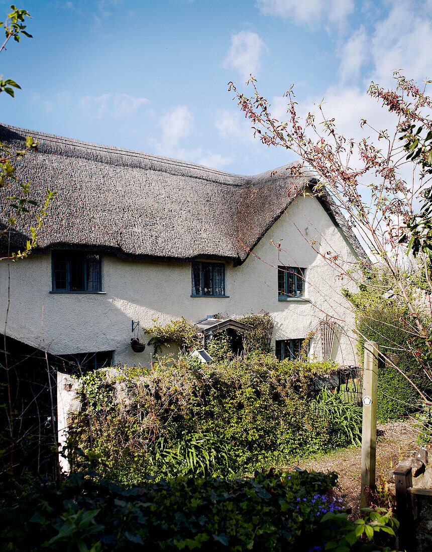 Strohgedecktes Cottage in Devon