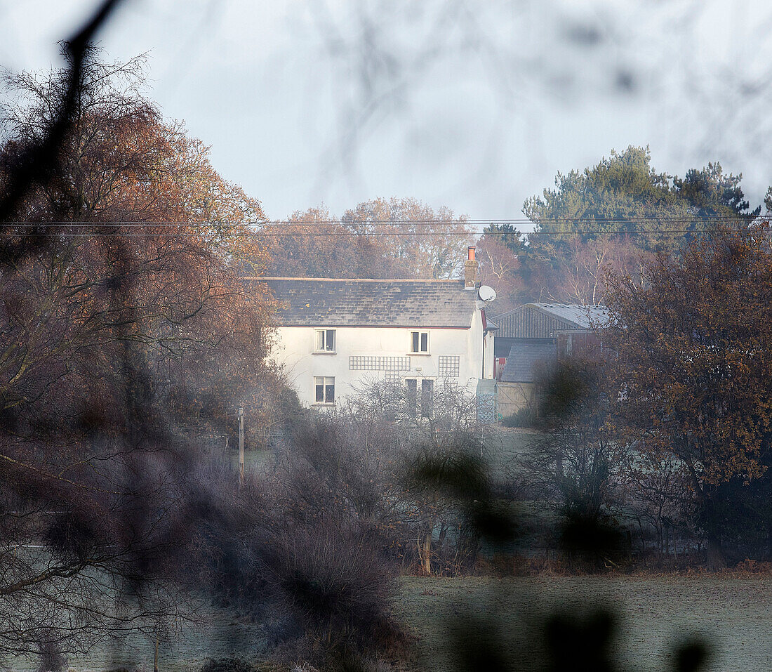 Country house viewed through trees