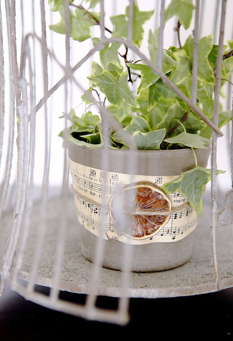 Potted ivy with sheet music and scented orange in City of Bath Somerset, England, UK