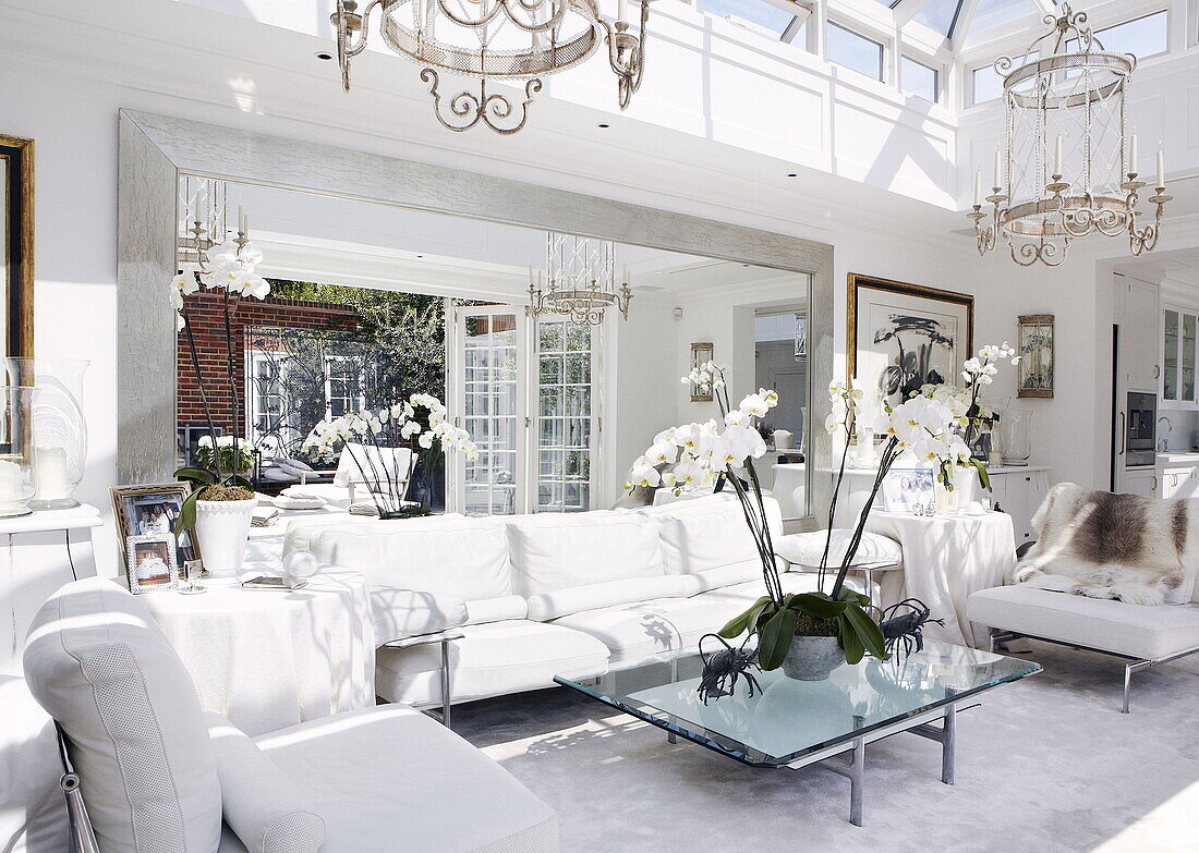 Orchid on table in white leather seating area in conservatory extension of London home UK
