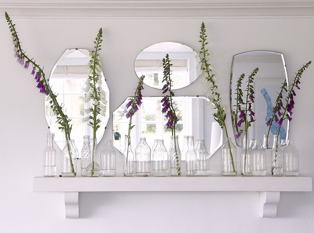 Vintage mirrors and bottles with foxglove (Digitalis) on shelf in Staffordshire home, England, UK